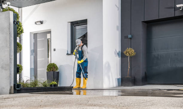 Best Sidewalk and Walkway Cleaning  in Princess Anne, MD